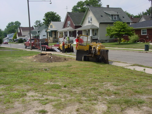 ./Gallery/2011 Bennet Lot Tree Removal/DSC06465.JPG